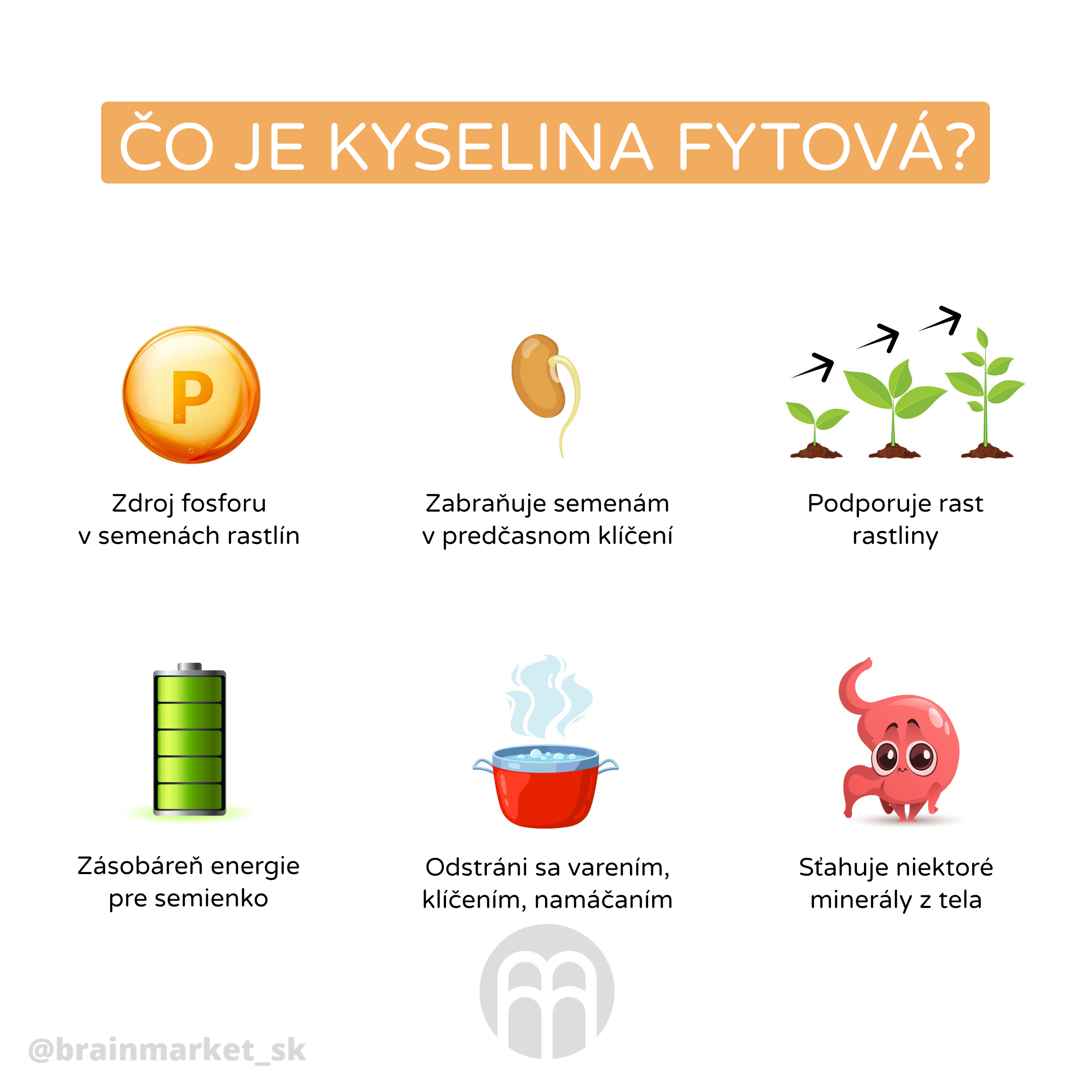 kyselina_fytova_infografika_brainmarket_cz